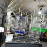 انواع قفس، دانه و وسایل قفس پرنده|لوازم جانبی حیوانات|شیراز, گلکوب|دیوار
