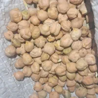 لپه