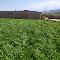 زمین‌اخلمد