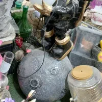 چراغ خواب فضا نورد|چراغ خواب و آباژور|پاکدشت, پاکدشت (مامازند)|دیوار