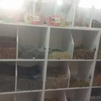 واگذاری سوپر مارکت در خیابان عطار|فروشگاه و مغازه|شاهین‌شهر, عطار|دیوار