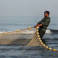 صید وصیادی ماهی واسه یلدا از استخر گلبهار و چناران|ماهی|چناران, |دیوار