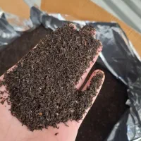 چای درجه یک هندی قیمت مناسب عمده