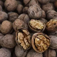 گردو تازه پوست نازک