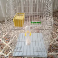 قفس سالم|لوازم جانبی حیوانات|نسیم‌شهر, |دیوار