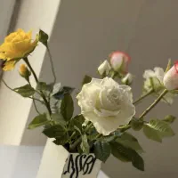 گلهای ایتالیایی