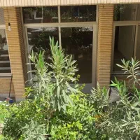 اجاره منزل ویلایی در چهارباغ|اجارهٔ خانه و ویلا|اصفهان, نقش جهان|دیوار