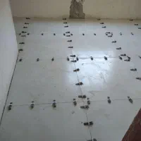 کاشی کاری پدروپسر|خدمات پیشه و مهارت|گرگان, |دیوار