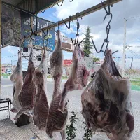 شاگرد . کار . شغل