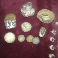 شهاب سنگ و فسیل و سنگ الماس یاهمون آسیاب