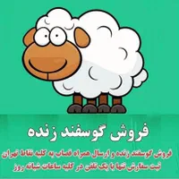 کاروانسرای افشار عرضه دام زنده|حیوانات مزرعه|تهران, امام زاده حسن|دیوار
