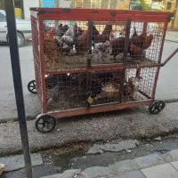 گاری سنگین توری