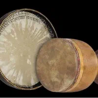 اجرای موسیقی سنتی