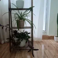 استند چوبی|کتابخانه، شلف، قفسه‌های دیواری|تبریز, |دیوار