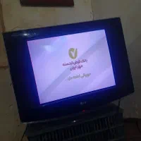 تلوزیون