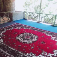 سوییت روبه جنگل با تراس بزرگ|اجارهٔ کوتاه‌مدت آپارتمان و سوئیت|فاضل آباد, |دیوار