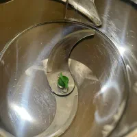 سبزی خورد کن ایران استیل سبز درحدنو|خردکن، آسیاب، غذاساز|بندر انزلی, کوی بهار|دیوار