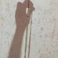 تسبیح|کلکسیون و سرگرمی|اردبیل, |دیوار