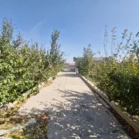 1000-متر-باغویلا-با-سند-تک-برگ