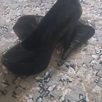 کفش مجلسی