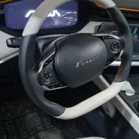 شاین مکس|خودرو سواری و وانت|یزد, |دیوار