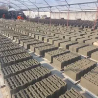 خرید مستقیم بلوک سبک ازدرب کارخانه|مصالح و تجهیزات ساختمان|تهران, پاسداران|دیوار
