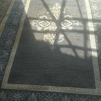 قالیشویی سراج.پاییز.فرهنگیان.میانرود