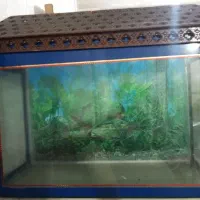 آکواریم (به همراه تجهیزات)