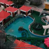 جذب ویتر (برای ثبت سفارش از مشتری)