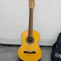 گیتار کلاسیک بست فان Best Fun E150|گیتار، بیس، امپلیفایر|کرمان, |دیوار