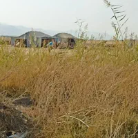 زمین برای جا زنبور