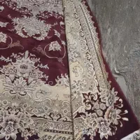 فرش12متری|فرش|مشهد, عامل|دیوار