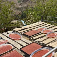 لواشک آلوچه از روستای قزاآن