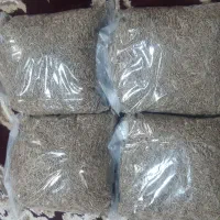 زیره سبز امسالی