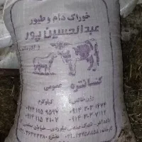 خوراک دام|لوازم جانبی حیوانات|مشگین شهر, |دیوار