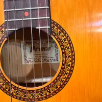 گیتار پرینس|گیتار، بیس، امپلیفایر|تهران, شهرک بوعلی|دیوار