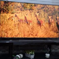 تلویزیون ال جی QNED86 سایز ۵۵ اینچ Ultra 2024