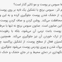 صابون لایه بردار|آرایشی، بهداشتی، درمانی|تربت جام, حافظ|دیوار