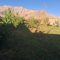 باغ و زمین مسکونی|فروش زمین و ملک کلنگی|خاوه, |دیوار