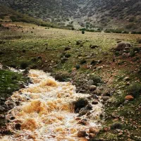 فروش باغ|فروش زمین و ملک کلنگی|بیلوار, |دیوار