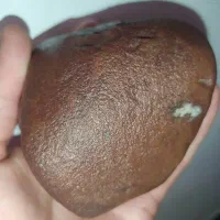 کارشناسی|کلکسیون اشیاء عتیقه|شیراز, قصرالدشت|دیوار