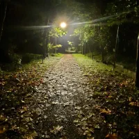 ۳۰۰ متر زمین۲نبش با جواز آپارتمان هچیرود مازندران