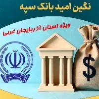 فروش امتیاز ۱۰۰ میلیونی وام ۲درصدی سپه/23 میلیون