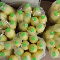 لوازم خانگی