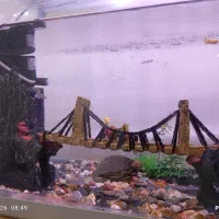 آکواریوم با وسایل کامل