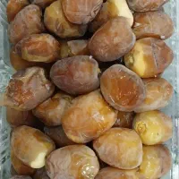 رطب برحی