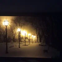 تابلو شب نما