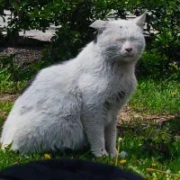 جویای کار هستم تدوینگر و عکاس هستم