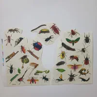 عکس برگردون نوستالژی|کلکسیون و سرگرمی|تهران, سهروردی|دیوار