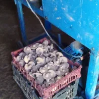 دستگاه گل زنی سفال گری